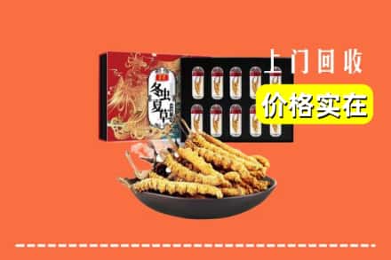 夏河县回收冬虫夏草